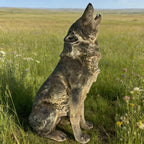 29.72" H x 17.91" L Simulated Howling Wolf Garden Statue, Resin Indoor & Outdoor Courtyard Ornament, Art Craft Decoration & Unique Gift for Home & Garden