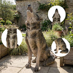 29.72" H x 17.91" L Simulated Howling Wolf Garden Statue, Resin Indoor & Outdoor Courtyard Ornament, Art Craft Decoration & Unique Gift for Home & Garden